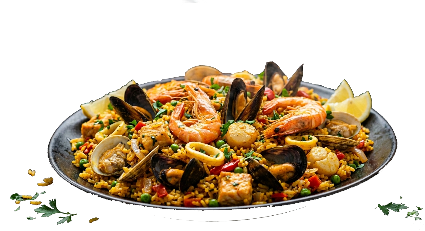 Dinner Plate